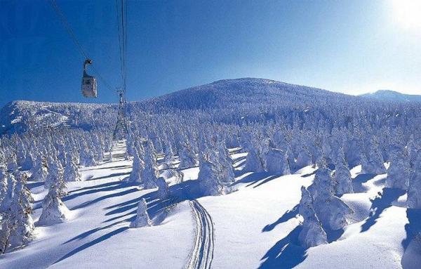 5.山形縣 山形藏王溫泉滑雪場 (Zao ski resort) (圖︰CNN)